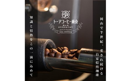 自家焙煎 コーヒー 1kg（500g×2袋）トーア特選ブレンド 1袋 スペシャルブレンド 1袋 トーアコーヒー商会 ブレンドコーヒー 焙煎 珈琲 飲料類 コーヒー豆 珈琲豆 コーヒー粉  豆