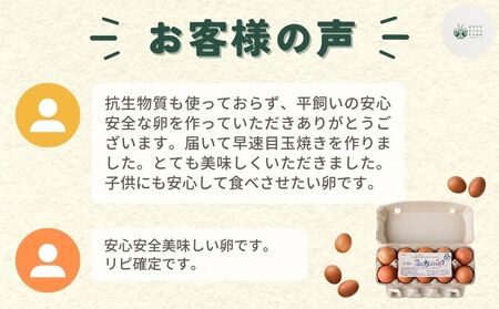 平飼い飛鳥の卵 40個／ 卵 たまご 玉子 生卵 鶏卵 生たまご たまごかけごはん 卵焼き 目玉焼き 冷蔵 チルド 古都風雅ファーム 奈良県 宇陀市 ふるさと納税