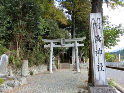 お葉つきいちょうぎんなん最中10個入り