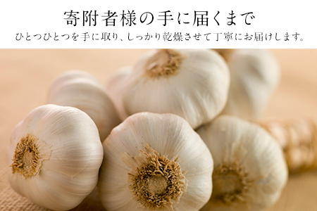 『上田農園』のにんにく約1kg 熊本県玉名郡玉東町『上田農園』にんにく《7月上旬-9月中旬頃出荷》