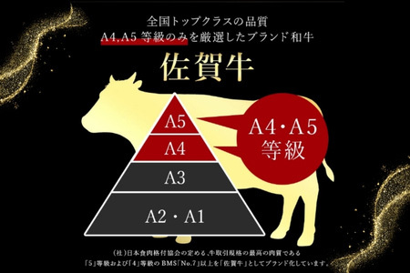 佐賀牛A5～A4等級赤身のもも肉 焼肉用 400g×2P(合計800g) BBQや焼肉に最適！牛肉 バーベキュー ギフト