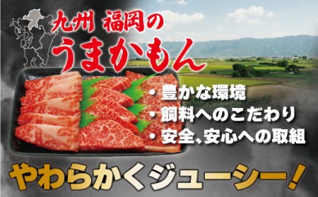 博多和牛焼肉用（バラ）600g[H2253]