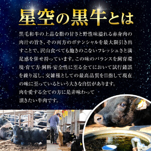＜期間限定・ソーセージ1袋付（お試し品）＞北海道産星空の黒牛 厳選5種BBQセット1kg　|  BBQ