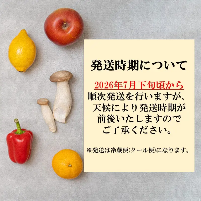 農家直送 程よい甘さのマクワウリ約3.5kg (8-12個)＜2026年7月下旬から発送開始分先行予約＞【A6-044】