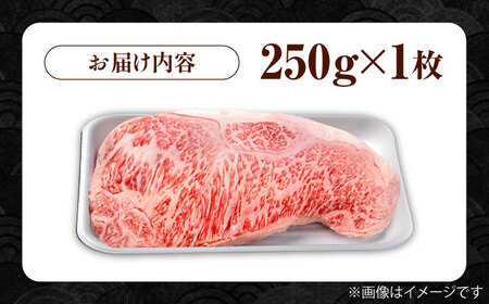 佐賀県産 サーロインステーキ 250g  黒毛和牛 ステーキ IAG015