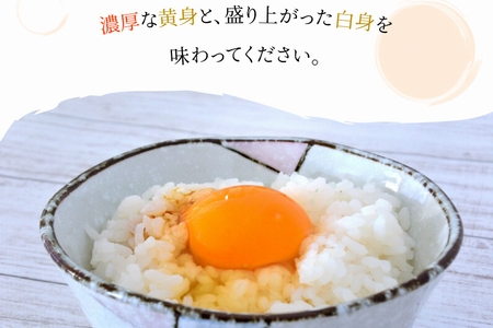 松原養鶏場の黒高麗人参鶏卵　長寿卵【配送不可地域：離島】【1185930】