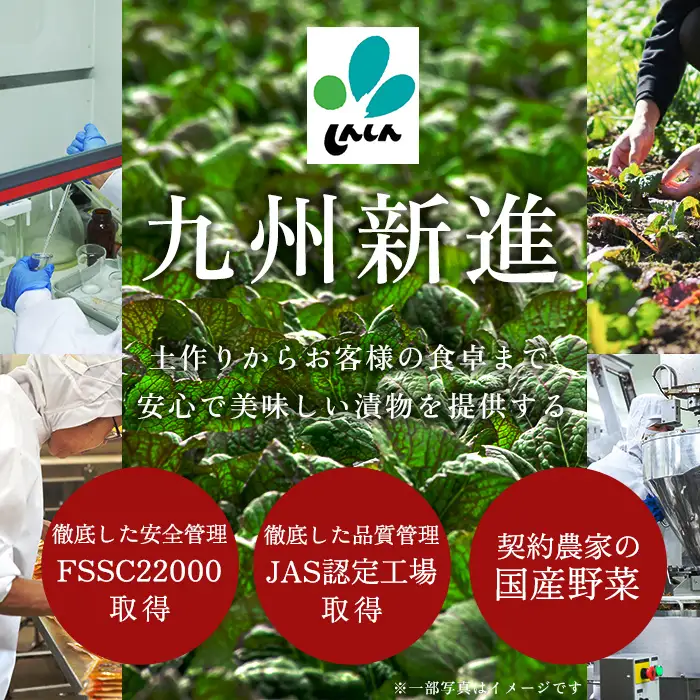 a568-B 九州産辛子高菜4kg(1kg×4パック)【九州新進】姶良市 国産 九州産 たかな 漬物 漬け物 ご飯のお供 おかず おつまみ おにぎり 常温 常温保存