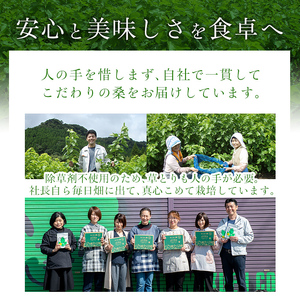 a626 国産！わくわく園純粋桑青汁いきいきセット(さつま桑青汁スティック合計157本)有機栽培の桑100%の粉末青汁をお届け【わくわく園】