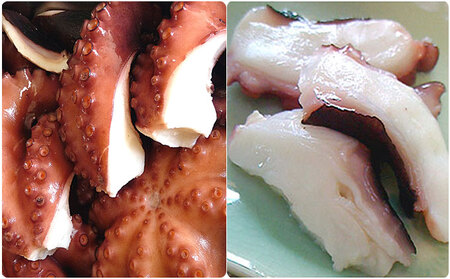 明石ダコのゆでダコ 丸ごと1匹と切り身で800g 魚貝類 タコ 