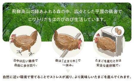 森のたまご農園 平飼い卵 24個 たまご 飛騨高山  LW005