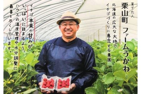 もぎたて！ファームうかわの大粒いちご2パック