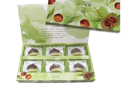 人気の「笠間の 栗 菓子」２種セットＡ(おちぼ栗＆まろんパイ) AB-002
