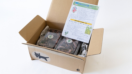 嬬恋村 浅間高原特産【 大粒 】乾燥 花豆 500g [AI001tu]