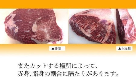 76-57B新潟県産牛（長岡産）サーロインステーキ450g＆ランプステーキ2枚（計300g）