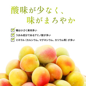 父の日 梅酒 限定 年間1000本 BENICHU19° 750ml 高島屋選定品 お酒 リキュール 高島屋 うめしゅ 酒 アルコール 紅映梅 梅 うめ ウメ 福井県 福井