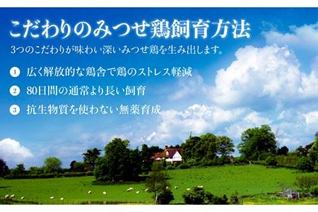 佐賀県産 みつせ鶏焼鳥6種12本＆宅焼鳥ミールキット  [FCI006]