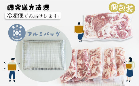 【9/1申し込みより冷凍発送】　＜定期便＞6回プラン 幻の銘柄豚 富士湧水ポーク 2か月毎に美味しいお肉が届く！ 食べつくしセット