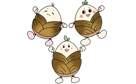 ぬいぐるみ 向日市いいとこPR隊 たけのこりん 京都 ゆるキャラ グッズ ご当地 キャラクター たけ のこ りん たけのこ 向日市 京都府向日市 