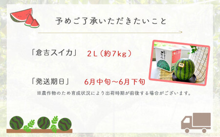 【先行予約】 倉吉スイカ 1玉 （2Lサイズ）JA鳥取中央 スイカ