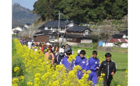 波多津の町おこしに参加ください！【思いやり型返礼品（協賛型）】 103-O001