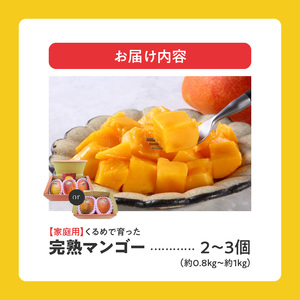 【2026年6月以降お届け】【家庭用】くるめで育った完熟マンゴー（2～3個：約0.8～1kg）_家庭用 くるめで育った 完熟マンゴー 2個 ～ 3個 アーウィン 甘い 子供も安心 フルーツ トロピカルフルーツ 果物 マンゴー 完熟 国産 家庭用 B品 冷蔵 クール便 倉重農園 お取り寄せ 福岡県 久留米市 送料無料 〔Fm007〕