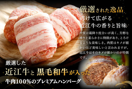 ハンバーグ 近江牛 プレミアム 750g (約 150g × 5個 ) ブランド 牛肉 黒毛和牛 【Y095W】