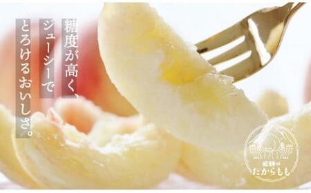 【2026年発送・先行受付】飛騨のたからもも 特選 糖度13度以上（4-8玉）※7月中旬～順次お届け | 桃 朝採れ 白桃 もも フルーツ ギフト 果物 人気 おまかせ 飛騨桃  産地直送 お取り寄せ 贈り物 ギフト おすすめ 飛騨高山 つむぎ果樹園 GH003〈桃 もも 先行予約 桃 先行予約 桃 先行予約 桃 もも〉