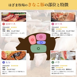 鹿児島県産畜産王国の「きなこ豚」しゃぶしゃぶ用3種1.5㎏ ロース 肩ロース バラ スライス 豚肉 お鍋 しゃぶしゃぶ ブランド 食べ比べ 冷凍 スターゼン