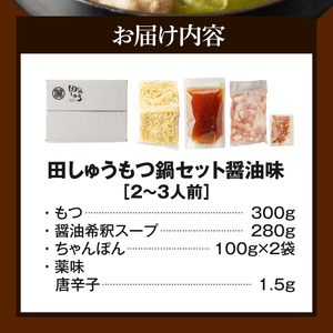 田しゅうもつ鍋セット醤油味2～3人前_もつ鍋 セット  醤油味 田しゅう 味噌 醤油 ちゃんぽん麺 めん 出汁 牛もつ 博多 郷土料理 国産牛  牛もつ鍋 博多もつ鍋 福岡県 久留米市 お取り寄せ お取り寄せグルメ 送料無料 〔Cn111〕