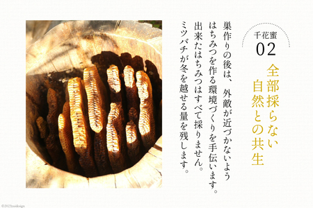 【保存料不使用】 天然！ 千花蜜（はちみつ） 100g [日添 熊本県 五木村 51120285]