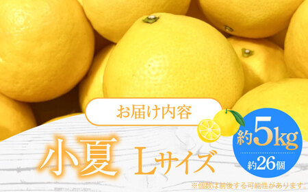 【先行予約】土佐小夏 Lサイズ 約5kg 26個前後〈2026年4月中旬-2026年7月中旬頃発送〉/ 日向夏 みかん ニューサマーオレンジ 柑橘 フルーツ こなつ 小夏 果物 特産 5キロ 高知県【フルーツショップオザキ】 [ATAH004]