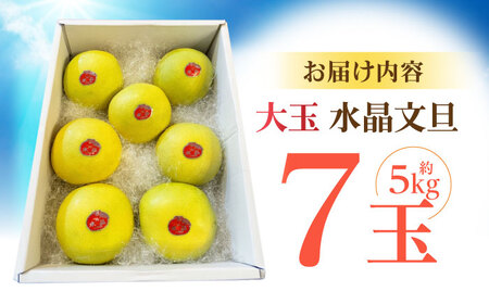 【先行予約】 南国土佐の女王柑橘 水晶文旦 約5kg 7玉入り〈2026年9月中旬～2026年12月中旬頃発送〉/ 大玉サイズ ぶんたん 文旦 5kg 5キロ フルーツ 高知 名物 果物 柑橘 ムッキー【フルーツショップオザキ】[ATAH010]