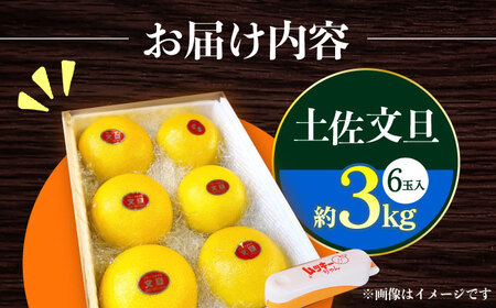 【先行予約】 南国高知温室土佐文旦 約3kg 6玉〈2026年11月中旬～2027年2月中旬頃発送〉/ 文旦 ぶんたん 3kg 3キロ 温室 果物 フルーツ デザート 柑橘 南国 土佐 高知 名物 名産 ムッキー 【フルーツショップオザキ】[ATAH012]