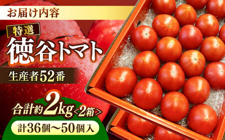 【先行予約】特選 徳谷トマト 約2kg 生産者52番 〈2026年1月中旬?2026年6月下旬頃発送〉/ トマト フルーツトマト 【フルーツショップオザキ】[ATAH014]
