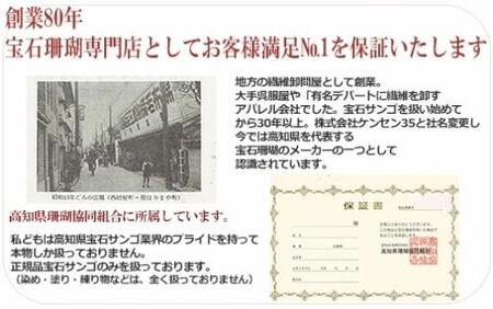 宝石珊瑚の六瓢箪根付 【株式会社ケンセン35】 [ATAR040]