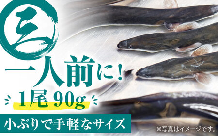 高知県産 うなぎ蒲焼き 約90g×2尾 タレ付き / うなぎ 鰻 ウナギ 国産うなぎ 【株式会社 四国健商】 [ATAF064]