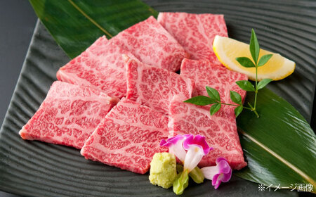 土佐黒毛和牛　ロース　焼き肉　約500g  / とろけるやわらかさ 和牛 高知県産 国産和牛 牛肉 黒毛和種  【（有）蔵多堂】[ATAE011]