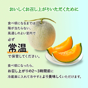 【令和8年産】 【糖度限界突破】ふらの 赤肉メロン Lサイズ（約1.7kg/玉）2玉 北海道 富良野 上富良野町 ふらの 赤肉 メロン フルーツ 果物 デザート メロン赤肉