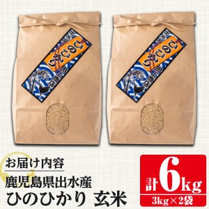 鹿児島県 出水市産 ひのひかり 玄米 (計6kg・3kg×2袋) お米 ごはん ご飯 【田上商店】 i504