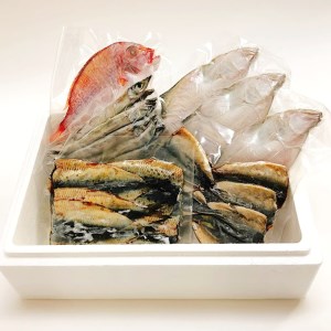 海鮮干物 5種 詰め合わせ セット アジ イワシ ニギス 連子鯛 干物セット 一夜干し