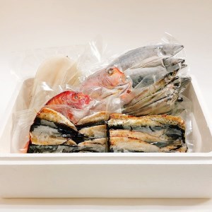海鮮干物 7種 詰め合わせ セット アジ イワシ ニギス 連子鯛 甘鯛 一夜干し 