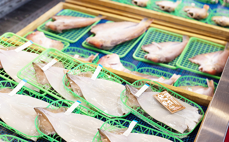 丹後のお魚屋さん一押しの絶品レンコダイの一夜干し 魚貝類 加工食品 