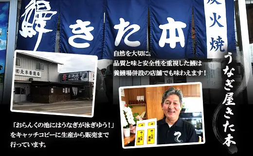 高知県産 うなぎ 白焼き 2尾 計240g（パック個包装）｜白焼き un-0017