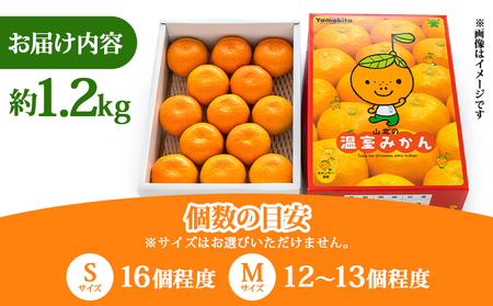 【6〜8月発送】山北温室みかん 1.2kg ミカン蜜柑 ku-0050