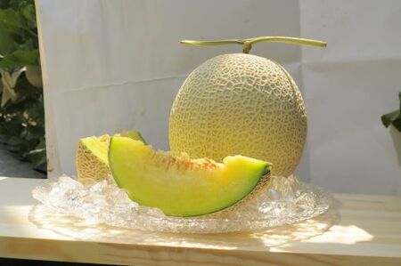 フルーツセット 計2玉 フルーツ エメラルドメロン ルナ・ピエナスイカ yu-0071