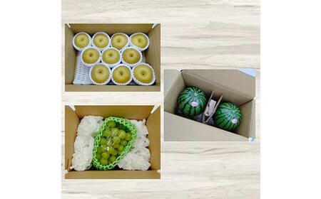 《2026年発送先行予約》やまがた特産フルーツ定期便（全3回） マスカット ぶどう ブドウ 葡萄 デザート フルーツ 果物 くだもの 果実 食品 山形県 FSY-0098