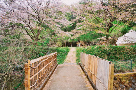 ～贅沢な時間～ キャンプ場一泊貸切券（最大4名様） [Ogawa Plum Garden for campers 埼玉県 小川町 139]