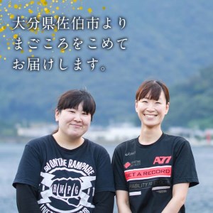  豊後水道産 しらす (合計600g・100g×6袋) 冷凍 しらす しらす丼 丼ぶり 魚 さかな ご飯 ごはん 炒飯 チャーハン パスタ サラダ 国産 大分県 パック 小分け 便利 大分県 佐伯市【CT09】【 (有)高橋商店】