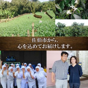  野菜の青汁 (計720g・120g×6P) 青汁 粉末 健康食品 野菜 食物繊維 大分県 佐伯市【EC02】【天然素材 (株)】