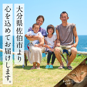 深島みそ (計約2kg・680g×3個) 味噌 みそ 味噌汁 麹 調味料 安部さん 手作り 【EK01】【でぃーぷまりん】